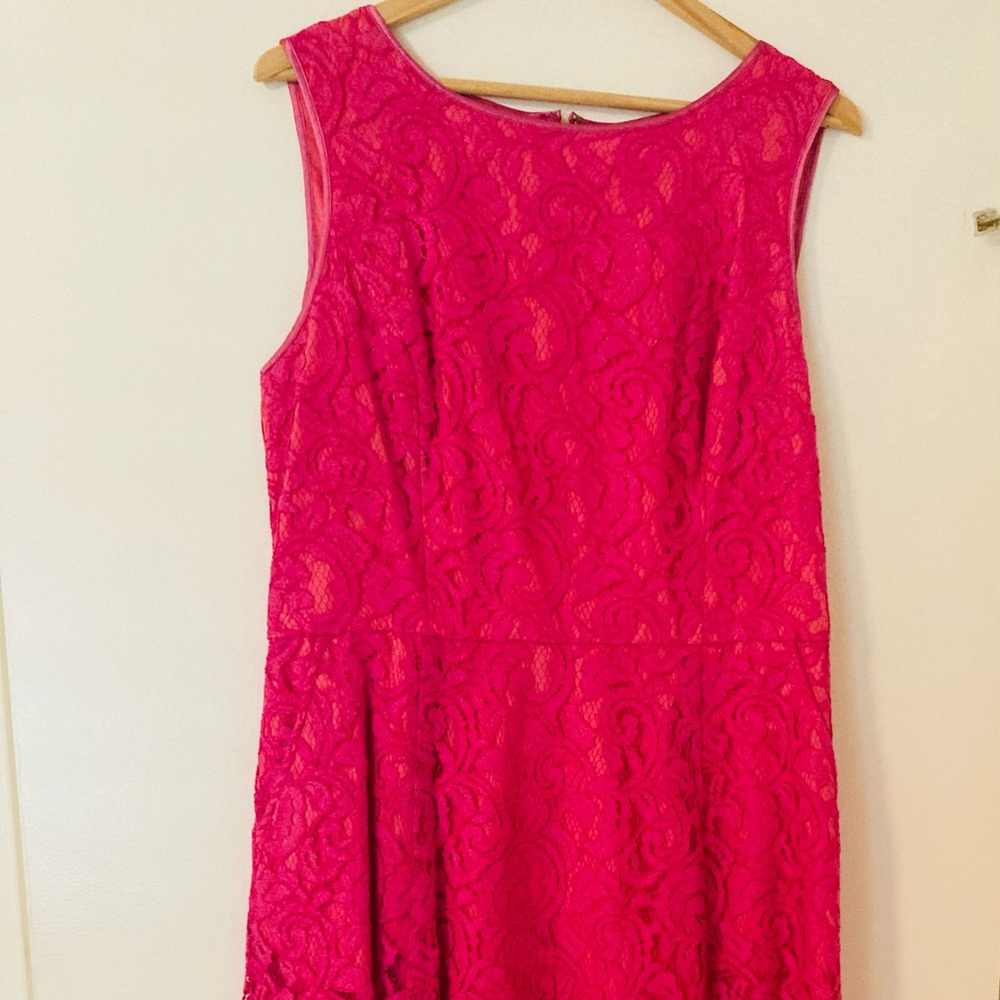 Adriana Papel hot pink lace fit and flare dress